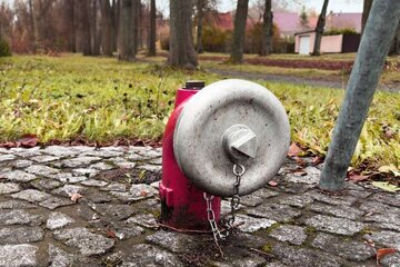 پایان تلخ یک بعدازظهر عاشقانه در آمریکا/ حادثه ای با احتمال یک در میلیون