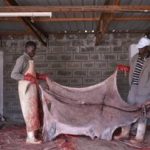 چینی‌ها پوست خر کن شدند!/ جزئیات یک تجارت وحشتناک اما پرسود