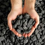 گنج در خاکستر پیدا شد / ثروت عظیمی که پنهان مانده بود