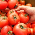 گوجه فرنگی هم لاکچری شد/ قیمت عجیب گوجه فرنگی را در بازار ببینید