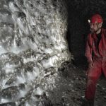 ۱۱۱ هزار عنکبوت در یک خانه! / بزرگ‌ترین تار عنکبوت جهان کشف شد