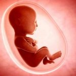 ۸۰ درصد شاکیان سقط جنین مردها هستند/ مواردی که قاضی اجازه سقط جنین قانونی نمی‌دهد