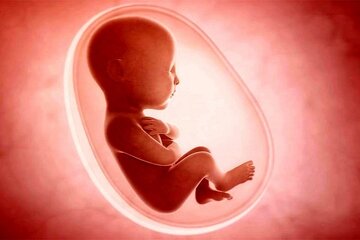 ۸۰ درصد شاکیان سقط جنین مردها هستند/ مواردی که قاضی اجازه سقط جنین قانونی نمی‌دهد