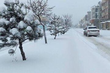 بارش ۶۰ سانتی متری برف در تهران؟/ پاسخ کارشناس هواشناسی
