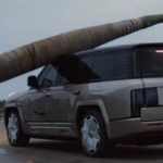 ببینید | سقوط نخل غول‌پیکر روی خودروی چینی / مقاومت تحسین‌برانگیز