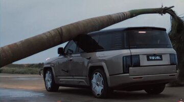 ببینید | سقوط نخل غول‌پیکر روی خودروی چینی / مقاومت تحسین‌برانگیز