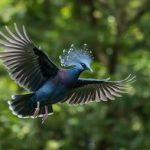 بزرگترین کبوتر جهان با تاجی باشکوه / ملکه پرندگان که چشمها را خیره میکند/ عکس