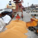 ترخیص روزانه نهاده‌های دامی از گمرک/ وزیر جهادکشاورزی: هیچ نگرانی در تامین نهاده وجود ندارد