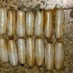 جاساز عجیب ۱۴ بسته هروئین در بدن مسافر