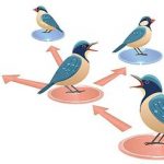 حیوانات هم فیک نیوز منتشر می‌کنند / کشف راز اطلاعات غلط در طبیعت