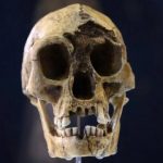 خشکسالی، گرسنگی و مواجهه با انسان خردمند، آخرین فصل زندگی هابیت‌ها را رقم زد