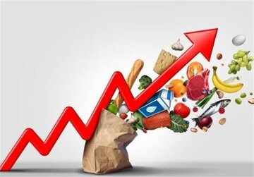 شوک تورمی مواد غذایی در دنیا/ تعداد گرسنه‌های جهان به افزایش رفت