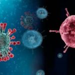 شیوع آنفلوانزا در این استان از حد هشدار گذشت