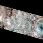 عنکبوتی غولپیکر در «اروپا» دیده شد/ عکس