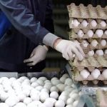 فروش تخم‌مرغ به بالاتر از این قیمت تخلف است/ خریداران بخوانند