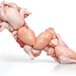 قیمت مرغ بازهم بالاتر می‌پرد؟