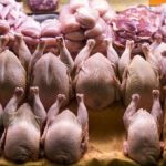 قیمت مرغ تا این تاریخ ۱۵ درصد افزایش می‌یابد/جزییات