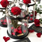 قیمت گل در روز مادر چند برابر شد؟ + جدول قیمت