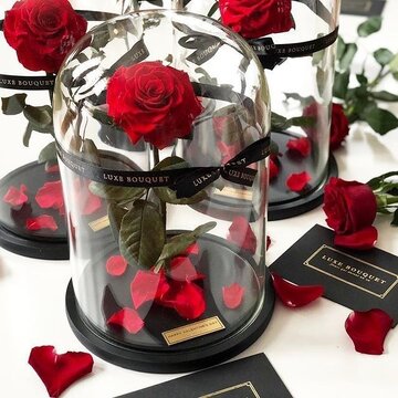 قیمت گل در روز مادر چند برابر شد؟ + جدول قیمت