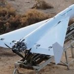 مشهورترین سلاح جهان / همه این پرنده ایرانی را می‌خواهند