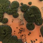 موجودی عجیب که خوراکش رادیواکتیو است! / هیولای چرنوبیل