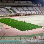 هزار و یک کار ورزشی ناتمام را رها کرده اید و رفته اید سراغ چمن هیبریدی؟ / آقایان «چمن هیبریدی» از دهانشان نمی‌افتد!