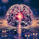 کامپیوترهای ساخته‌شده از مغز انسان در راهند/ هوش ارگانوئیدی چیست؟