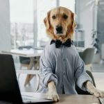 کشف ژن‌های مشترک میان سگ و انسان /هوش و اضطراب انسان در بدن یک سگ؟