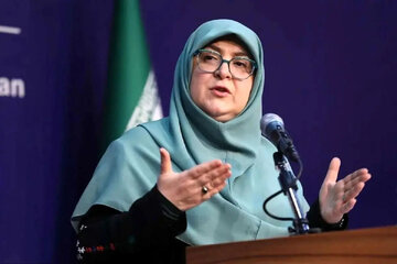 اذعان سخنگوی دولت به افزایش قیمت سه کالای مهم
