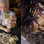 گنجی که زیر پا افتاده بود / یک قوطی زنگزده پر از سکه طلا