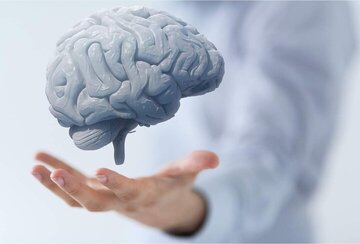 یک توصیه برای جوان نگه داشتن مغز