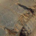 از ثبت جهانی تا پیگرد قضایی؛ ماجرای یک یادگاری پرهزینه