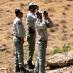 حمله مرگبار شکارچیان به محیطبان