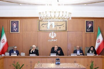 دعوت هیات دولت پزشکیان برای حضور در مراسم چهلم شهدا و جانباختگان دی ماه/ موضع دولت به خانوادههایی که مراسم خودشان را برگزار می کنند + متن بیانیه