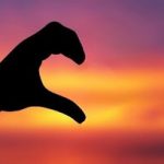 سالهاست منتظرم پسر یکی از اقوام به خواستگاری ام بیاید؛ یکبار زن گرفت و طلاق داد اما باز هم سراغ من نیامد/ ماجرای عشق یکطرفه