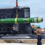 «شکارچیان خاموش»؛ سلاحهایی که به صخره مرجانی تبدیل میشوند