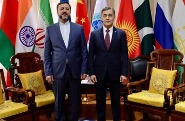 غریبآبادی با دبیرکل سازمان همکاری شانگهای دیدار کرد