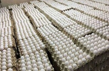 قیمت جدید تخممرغ اعلام شد/ قیمت تخممرغ در ماه رمضان چه تغییری میکند؟