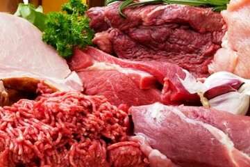قیمت جدید دام‌زنده امروز ۱۷ بهمن ۱۴۰۴/ قیمت واقعی و منطقی گوشت رسما اعلام شد