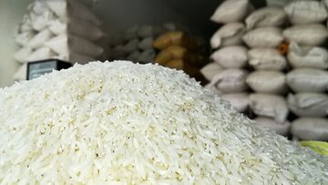 پشت‌پرده جهش قیمت برنج از زبان حسین فرهادی/ انحصار شکست، اما سفره‌ها کوچک‌تر شد؟