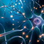 یادگیری یک زبان خارجی فقط در چند ثانیه