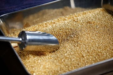 یک پیش‌بینی جنجالی از قیمت طلا در ماه‌های آینده/ منتظر عبور قیمت طلا از این عدد باشید
