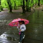 هشدار هواشناسی برای ۱۱ استان